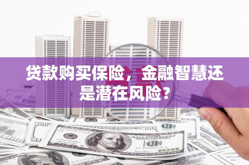 鄯善贷款购买保险，金融智慧还是潜在风险？
