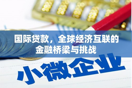 鄯善国际贷款，全球经济互联的金融桥梁与挑战