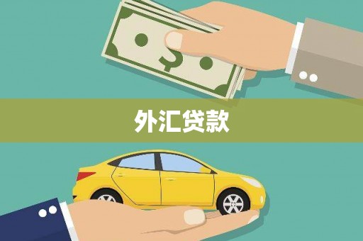 鄯善外汇贷款