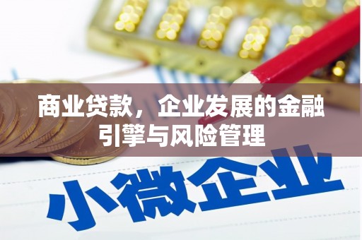 鄯善商业贷款，企业发展的金融引擎与风险管理