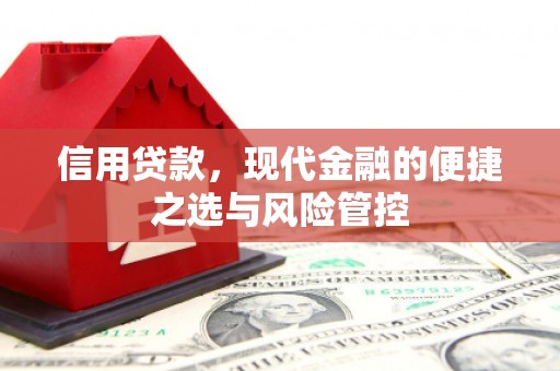鄯善信用贷款，现代金融的便捷之选与风险管控