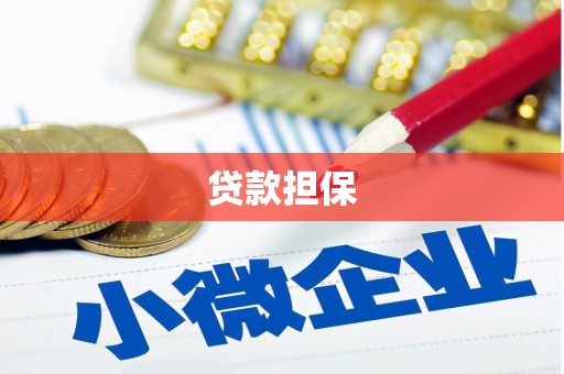 鄯善贷款担保