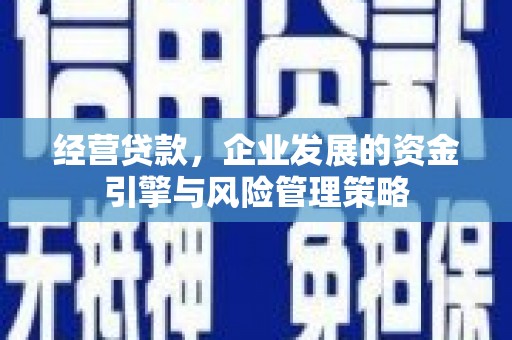鄯善经营贷款，企业发展的资金引擎与风险管理策略