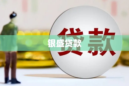 鄯善银盛贷款