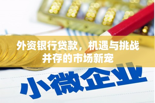 鄯善外资银行贷款，机遇与挑战并存的市场新宠