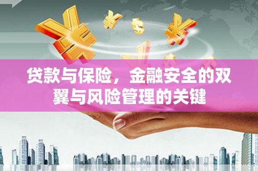 鄯善贷款与保险，金融安全的双翼与风险管理的关键