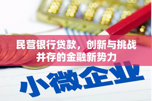 鄯善民营银行贷款，创新与挑战并存的金融新势力