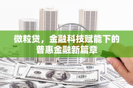 鄯善微粒贷，金融科技赋能下的普惠金融新篇章
