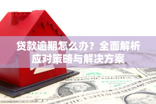 鄯善贷款逾期怎么办？全面解析应对策略与解决方案