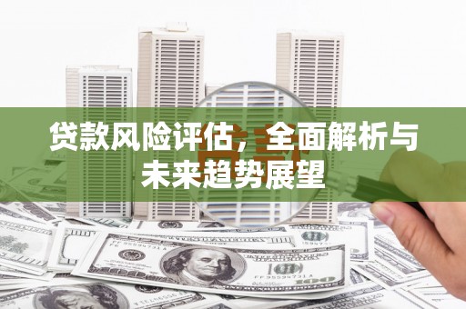 鄯善贷款风险评估，全面解析与未来趋势展望