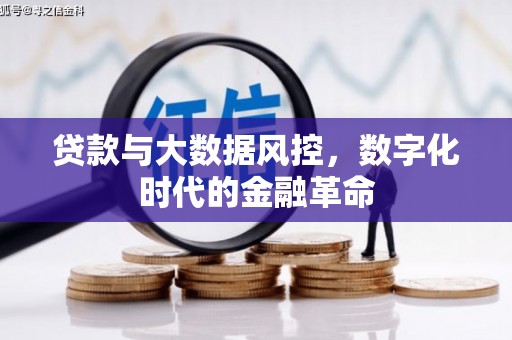 鄯善贷款与大数据风控，数字化时代的金融革命