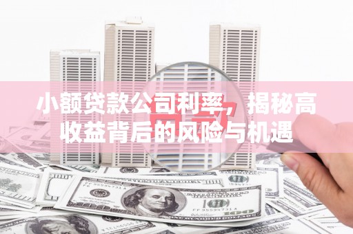 鄯善小额贷款公司利率，揭秘高收益背后的风险与机遇