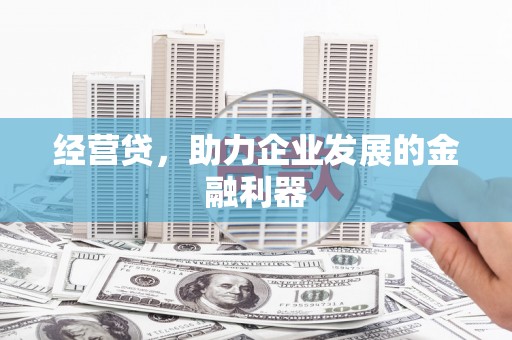 鄯善经营贷，助力企业发展的金融利器