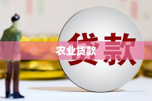鄯善农业贷款
