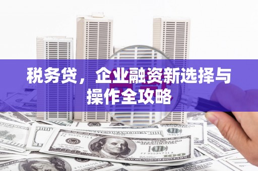 鄯善税务贷，企业融资新选择与操作全攻略