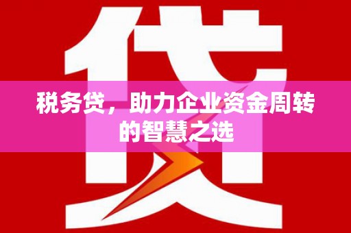 鄯善税务贷，助力企业资金周转的智慧之选