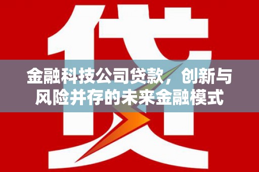 鄯善金融科技公司贷款，创新与风险并存的未来金融模式