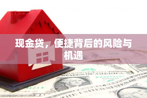 鄯善现金贷，便捷背后的风险与机遇