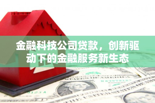 鄯善金融科技公司贷款，创新驱动下的金融服务新生态