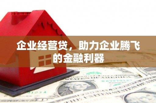 鄯善企业经营贷，助力企业腾飞的金融利器