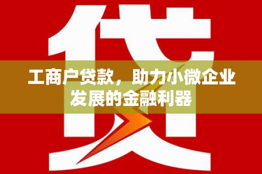 鄯善工商户贷款，助力小微企业发展的金融利器