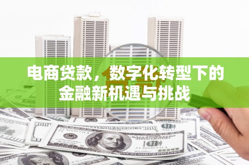 鄯善电商贷款，数字化转型下的金融新机遇与挑战