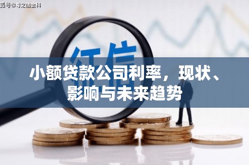 鄯善小额贷款公司利率，现状、影响与未来趋势
