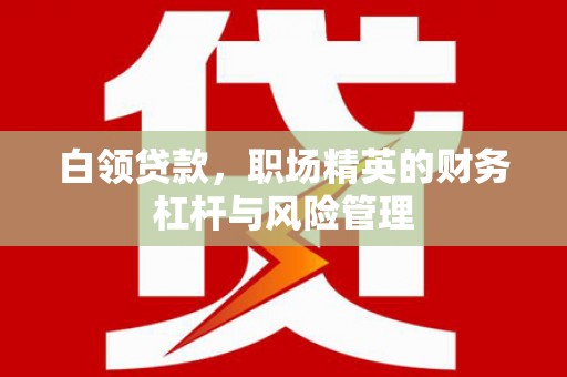 鄯善白领贷款，职场精英的财务杠杆与风险管理