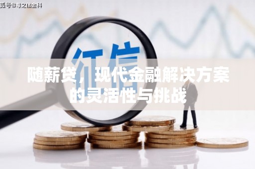 鄯善随薪贷，现代金融解决方案的灵活性与挑战
