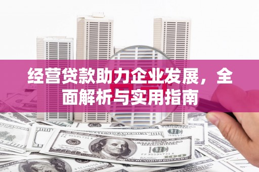 鄯善经营贷款助力企业发展，全面解析与实用指南