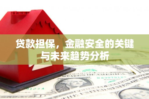 鄯善贷款担保，金融安全的关键与未来趋势分析