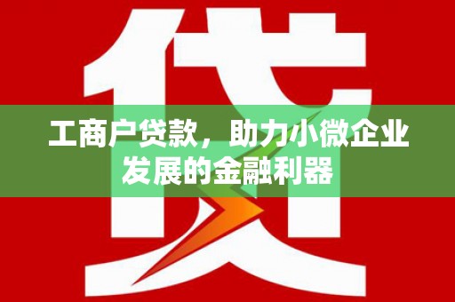 鄯善工商户贷款，助力小微企业发展的金融利器