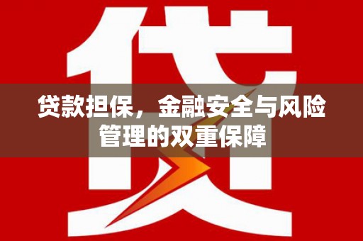 鄯善贷款担保，金融安全与风险管理的双重保障