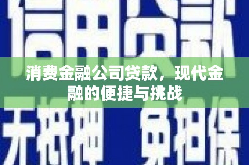 鄯善消费金融公司贷款，现代金融的便捷与挑战