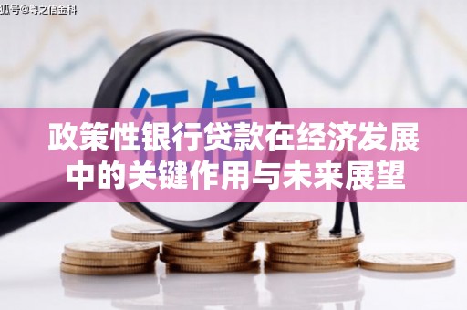 鄯善政策性银行贷款在经济发展中的关键作用与未来展望