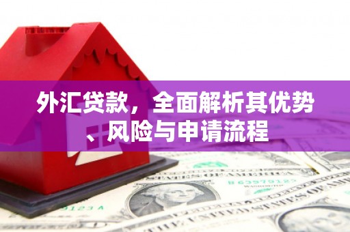 鄯善外汇贷款，全面解析其优势、风险与申请流程