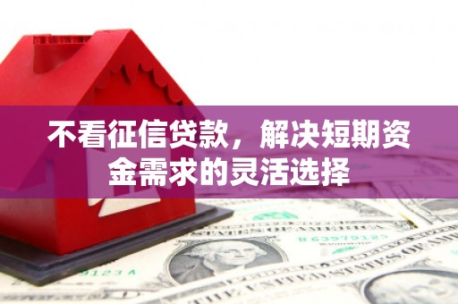鄯善不看征信贷款，解决短期资金需求的灵活选择