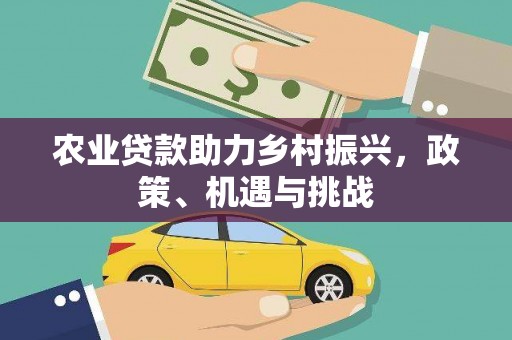 鄯善农业贷款助力乡村振兴，政策、机遇与挑战
