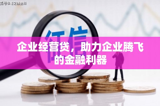 鄯善企业经营贷，助力企业腾飞的金融利器