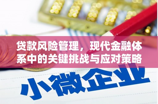 鄯善贷款风险管理，现代金融体系中的关键挑战与应对策略