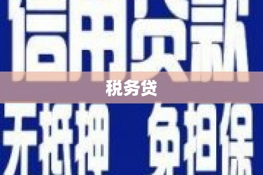 鄯善税务贷