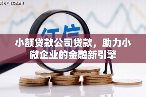 鄯善小额贷款公司贷款，助力小微企业的金融新引擎