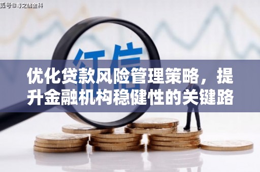鄯善优化贷款风险管理策略，提升金融机构稳健性的关键路径