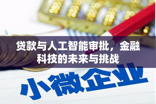 鄯善贷款与人工智能审批，金融科技的未来与挑战
