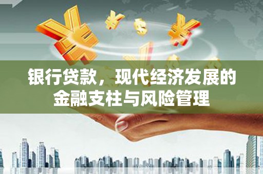 鄯善银行贷款，现代经济发展的金融支柱与风险管理