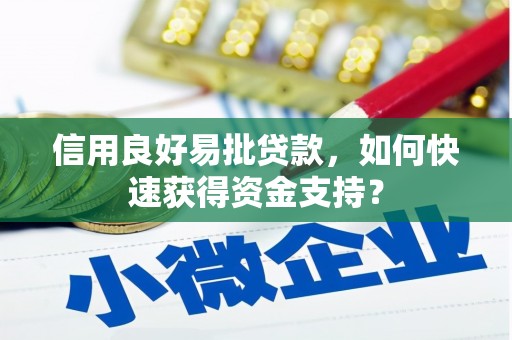 鄯善信用良好易批贷款，如何快速获得资金支持？