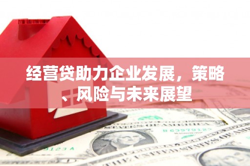 鄯善经营贷助力企业发展，策略、风险与未来展望