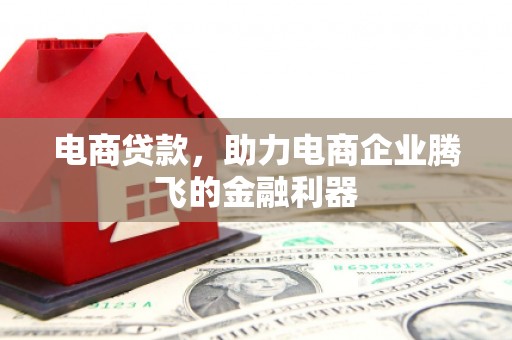 鄯善电商贷款，助力电商企业腾飞的金融利器
