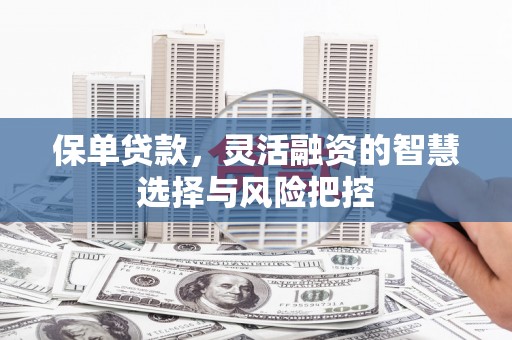 鄯善保单贷款，灵活融资的智慧选择与风险把控