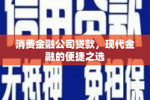 鄯善消费金融公司贷款，现代金融的便捷之选